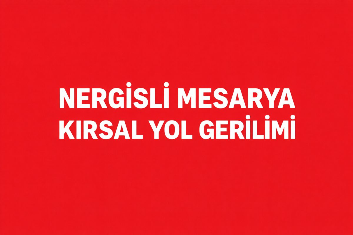 Nergisli Mesarya Gece Saatlerinde Kırsal Yol Görüşü