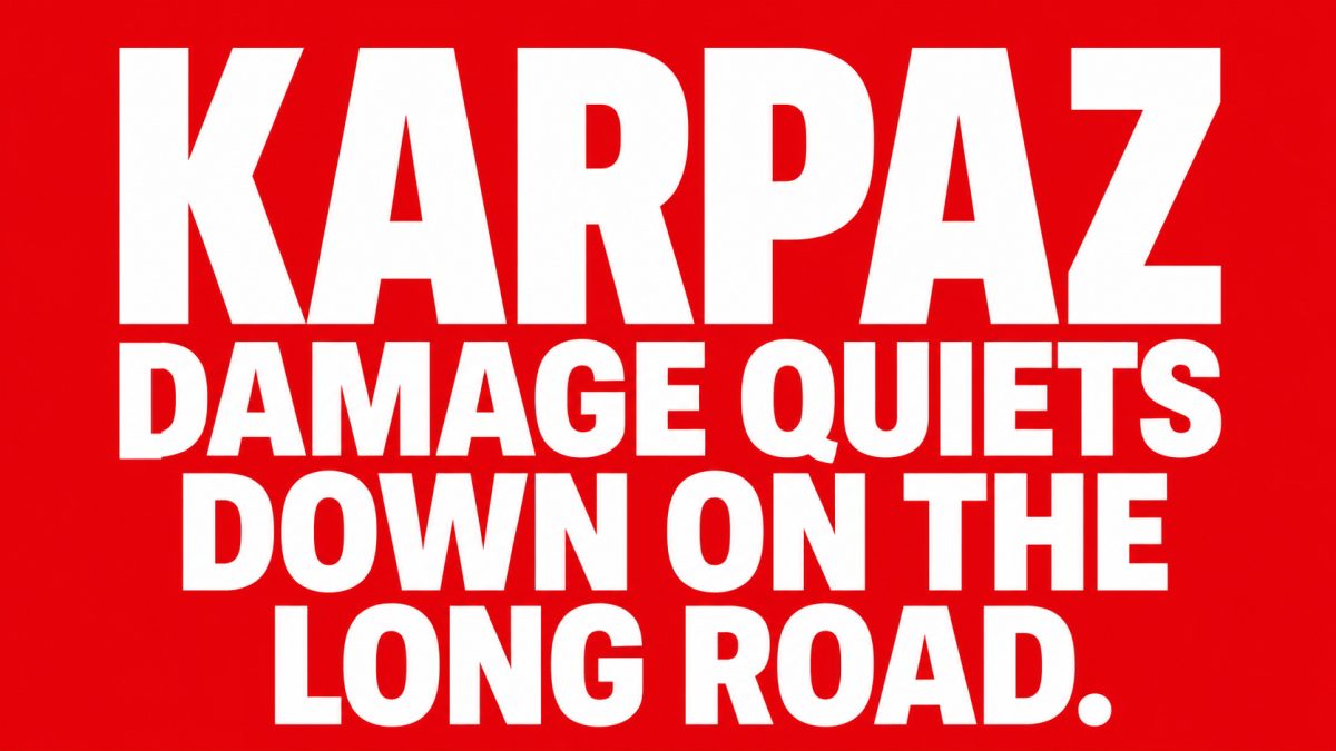 Gelincik Road and Sudden Braking Damage