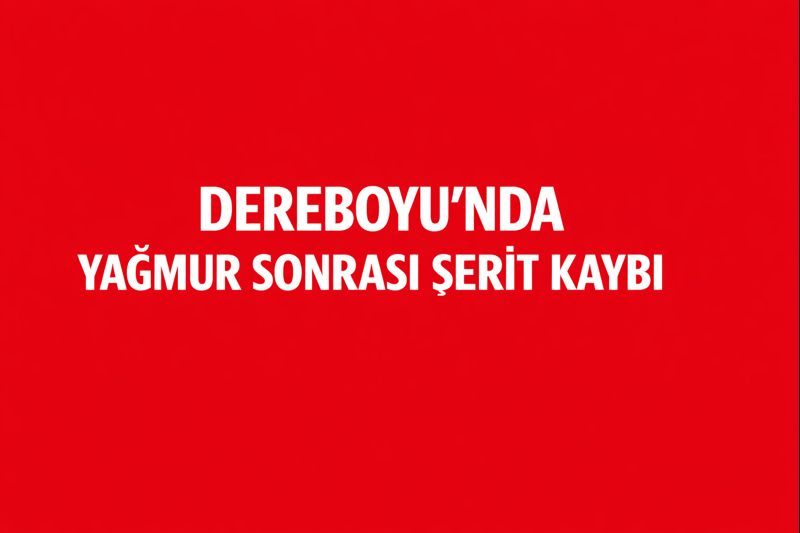Dereboyu’nda Yağmur Sonrası Şerit Kaybı