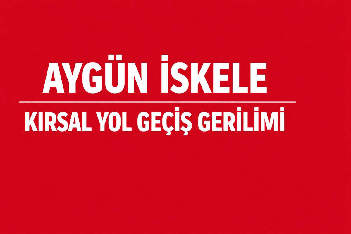 Aygün İskele Tarla Çıkışlarında Traktör Hareketi