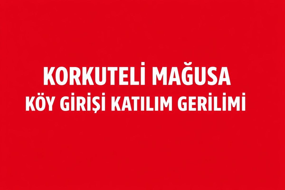 Korkuteli Mağusa Köy Merkezinde Park Eden Araçların Trafik Akışına Etkisi