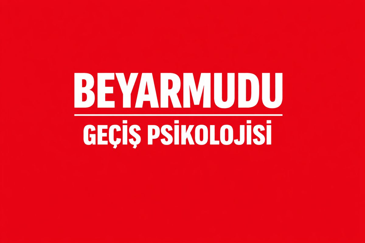 BEYARMUDU SINIR KAPISI HAFTA SONU AİLE TRAFİĞİ