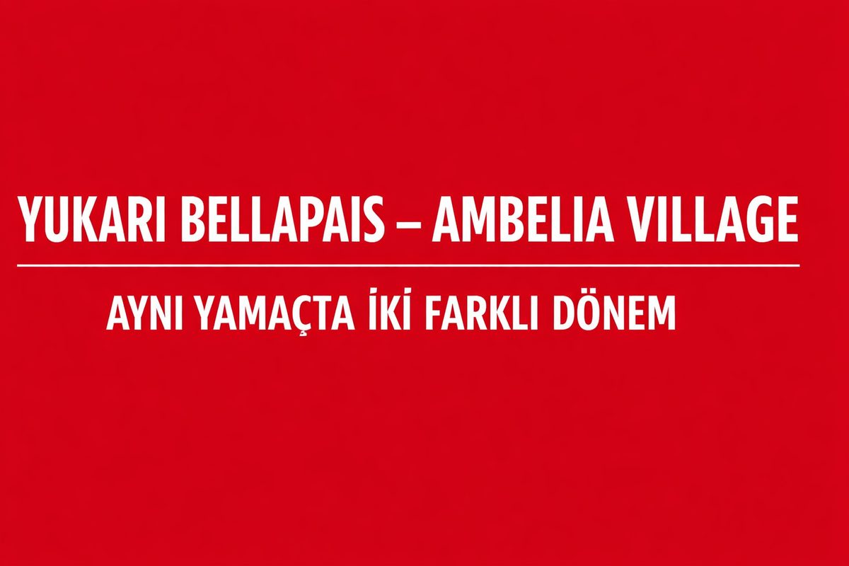 Bellapais’te İstinat Duvarı Arkasında Biriken Suyun Konut Hasarına Etkisi