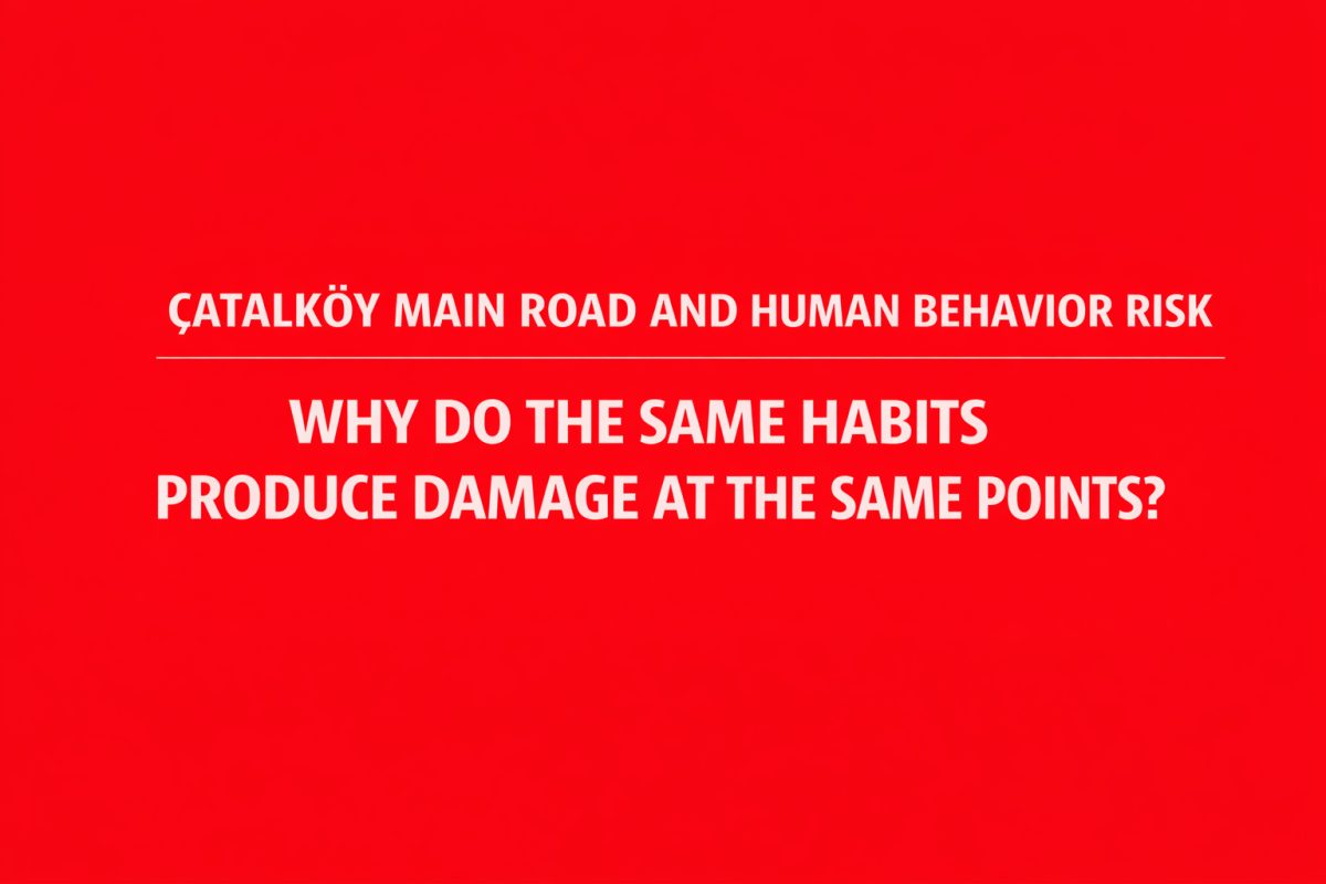 Çatalköy Main Road and Human Behavior Risk