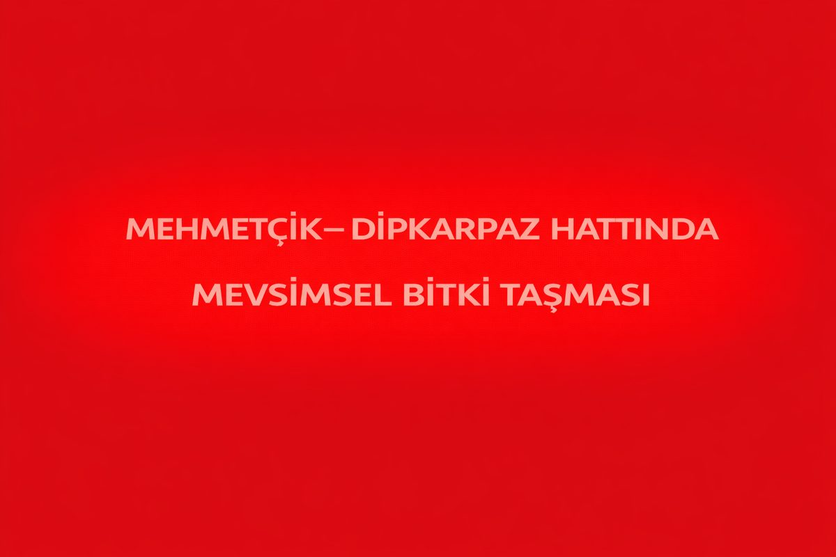 Mehmetçik Köy İçi Sokakta Kör Köşe Çıkış Yanılması