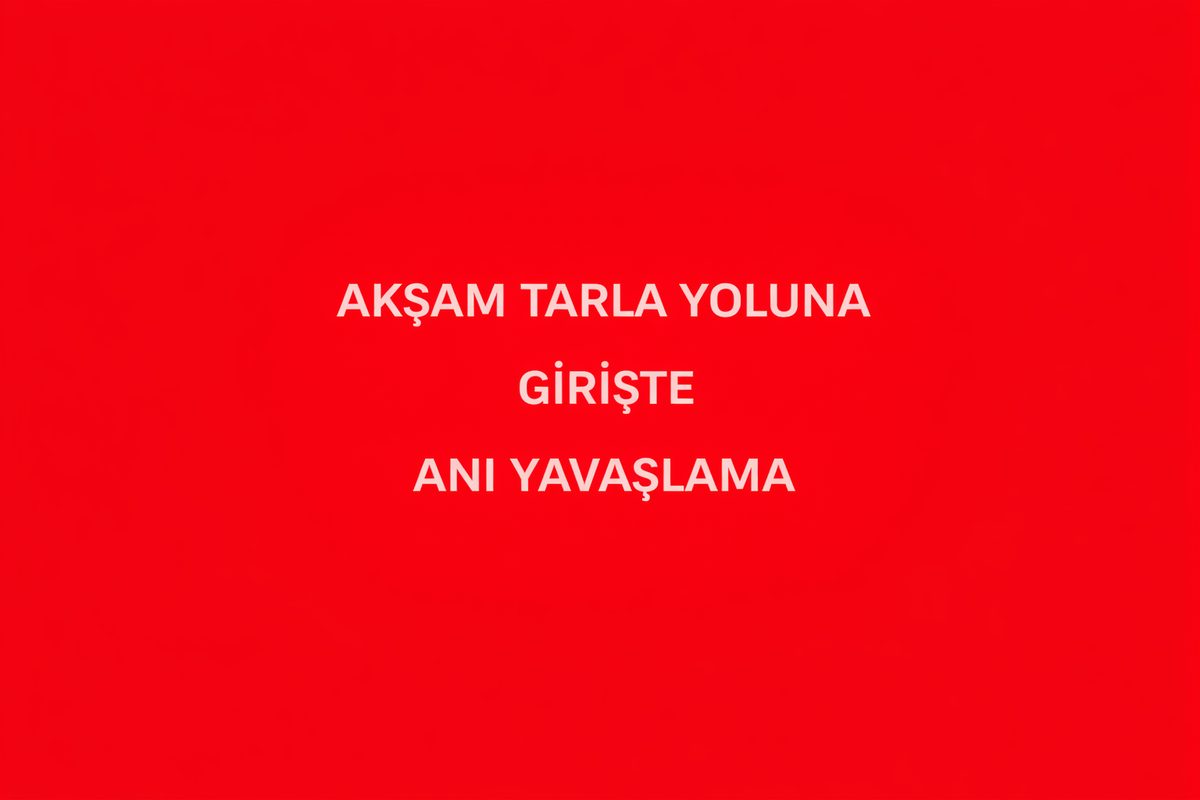 Akşam Tarla Yoluna Girişte Ani Yavaşlama