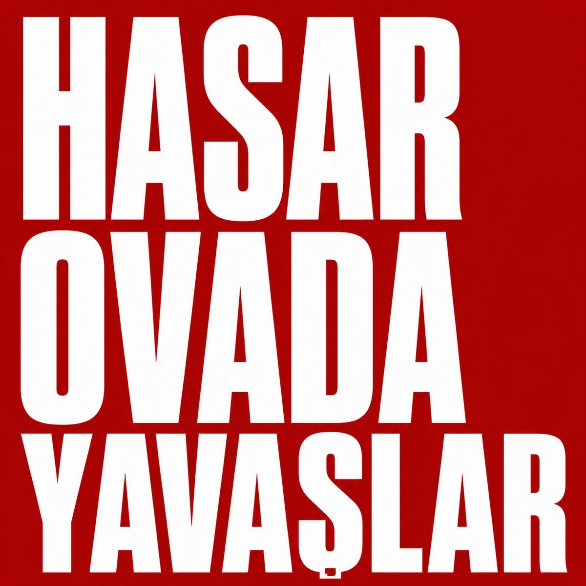 Vadili Gece Yolunda Düşük Işık ve Yol Kenarı Teması