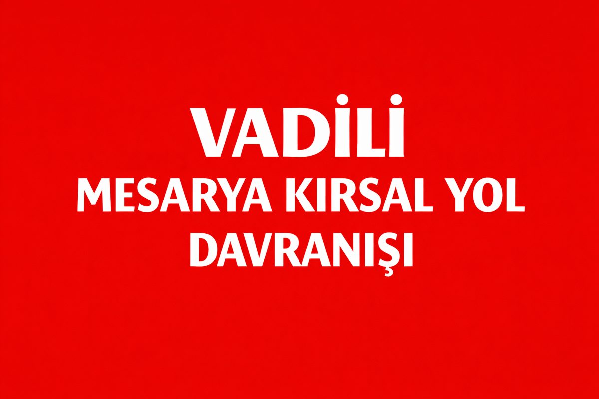 Vadili Köy Çevresinde Yaz Gecelerinde Azalan Araç Hareketi