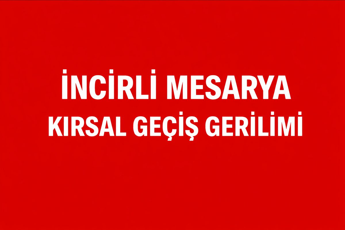 İncirli Mesarya Çayönü Yolunda Gece Saatlerinde Azalan Yol Görüşü